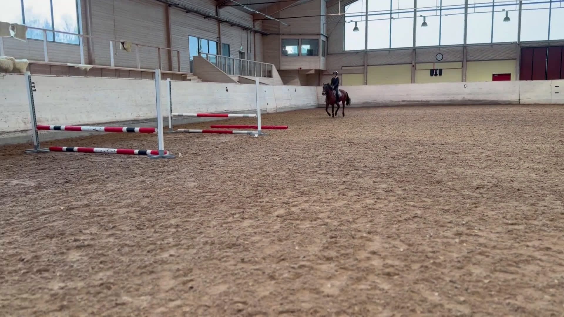 Allround hästar till salu: Trevlig C-ponny säljes  - Video 1