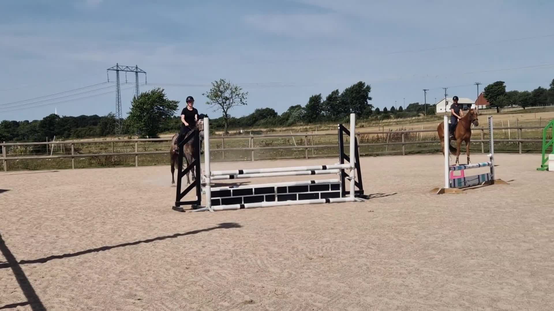 Hoppning hästar till salu: 6-årigt sto e: Kannando Hästak ✨️ - Video 2