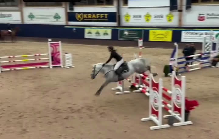 Hoppning hästar till salu: Fantastisk D-ponny i Tungelsta - Video 1