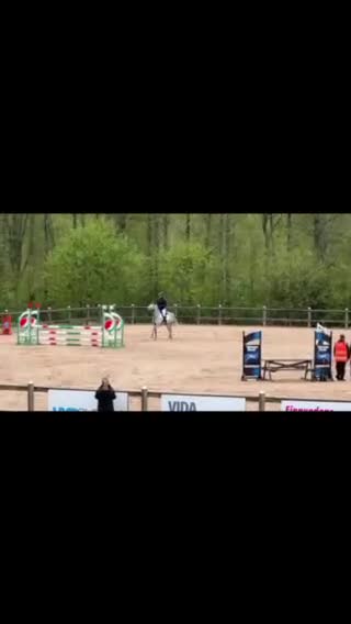 Hoppning hästar till salu: Fantastisk maxad D ponny - Video 3