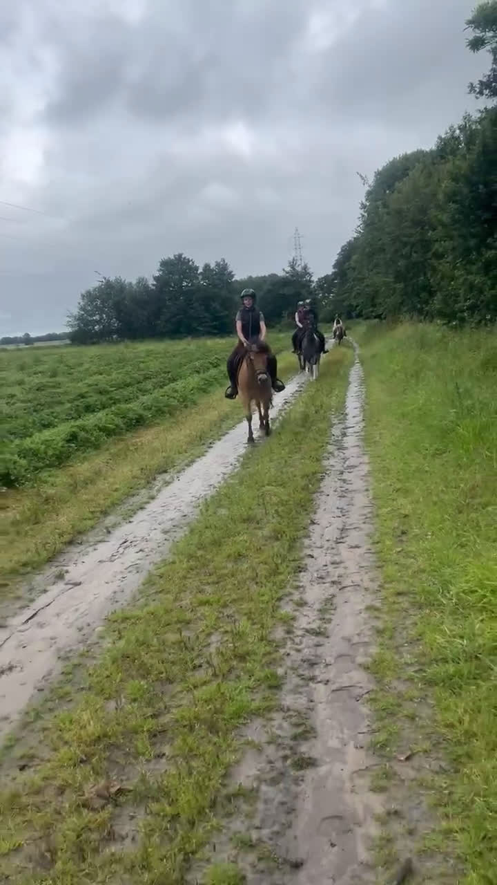 Allround hästar till salu: *Sänkt pris* Russto f. 2020, ca 122 cm i Gusum - Video 3