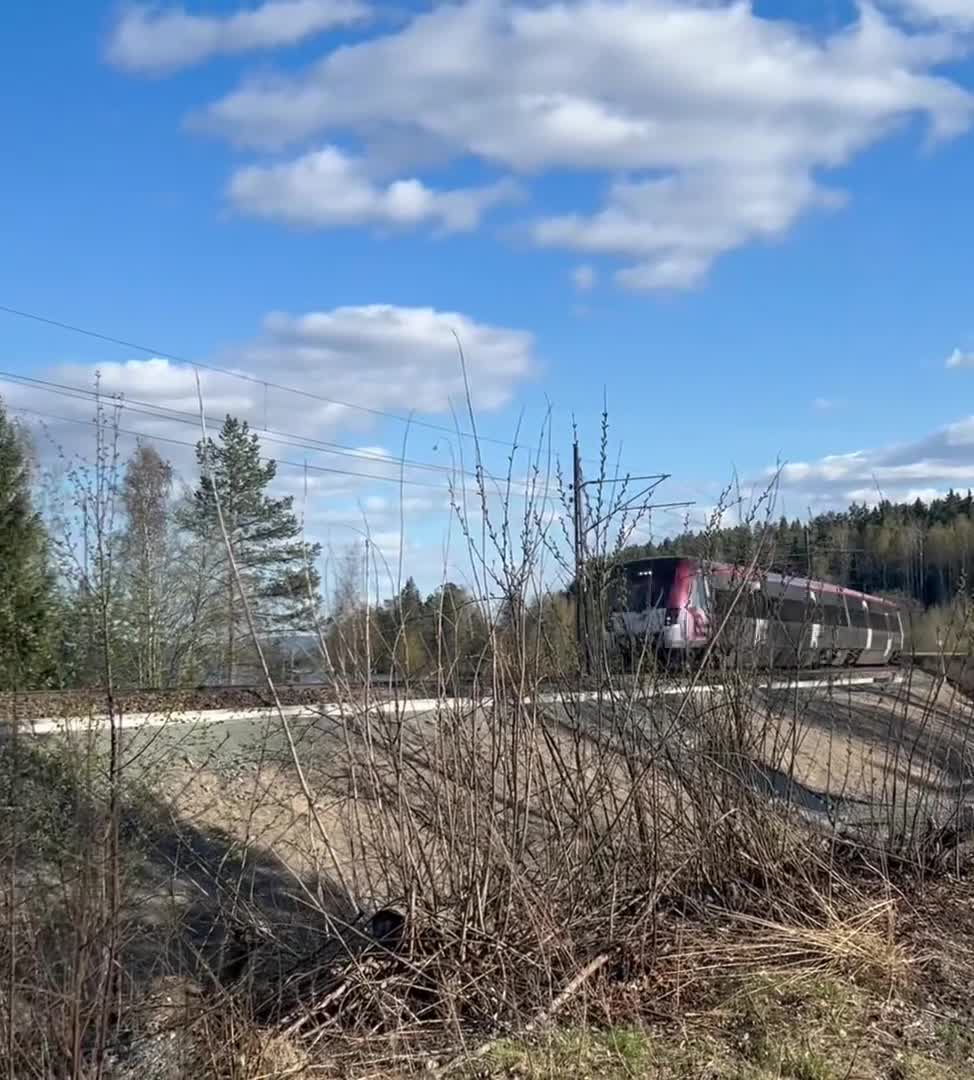 Working Equitation hästar till salu: Trevlig valack! - Video 4