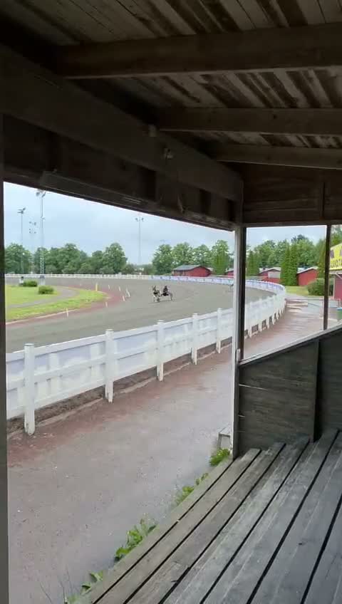 Allround hästar till salu: Lovande ungponny söker nytt hem - Video 3