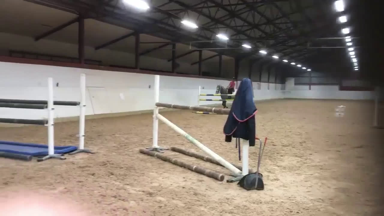 Allround hästar till salu: Perfekt mor och dotter häst - Video 1