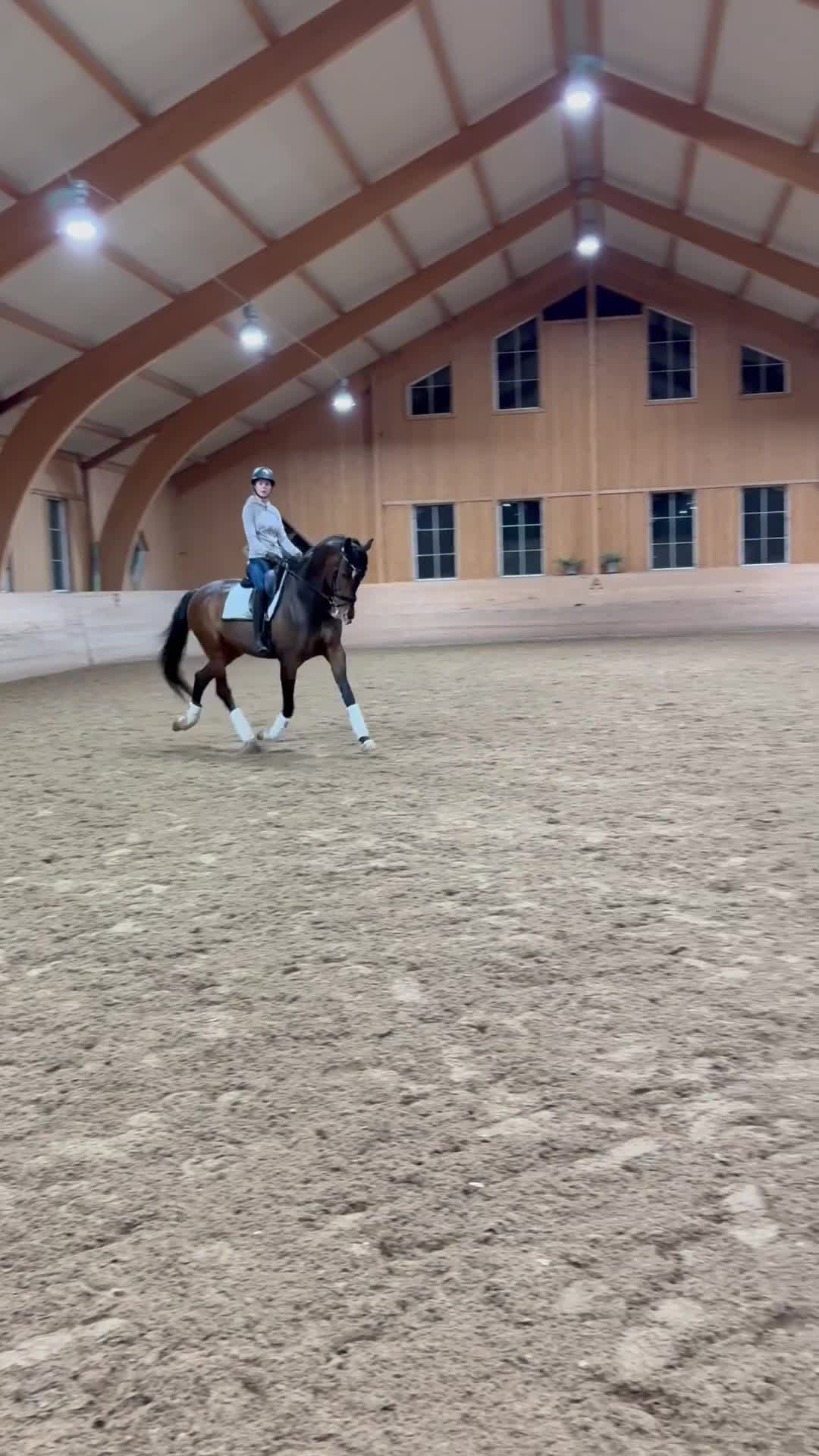 Dressyr hästar till salu: Fantastisk dressyrhäst i Ekerö - Video 1