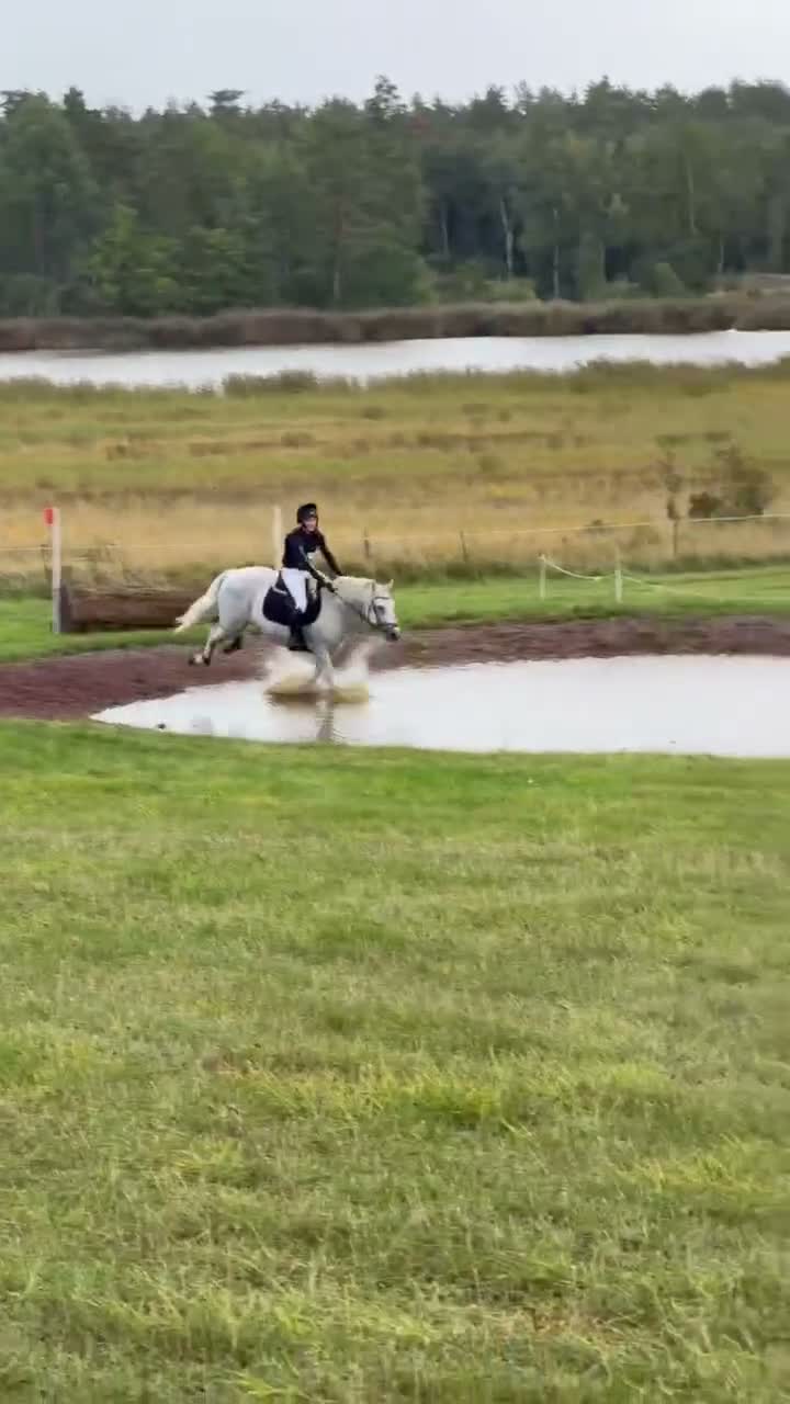 Allround hästar till salu: Hoppglad D-ponny  - Video 4