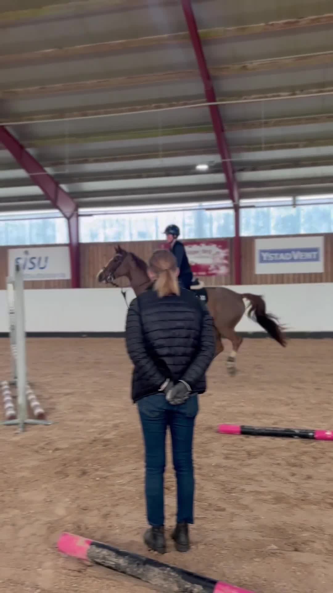  hästjobb finnes: Behöver du hjälp med din häst/ponny? 🫶🏻 i Ystad - Video 3