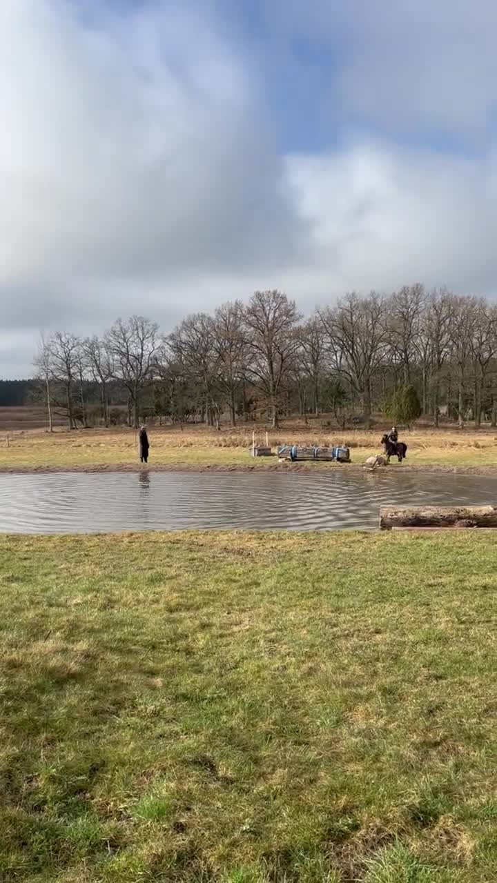 Fälttävlan hästar till salu: Trevlig fälttävlansponny⭐️ i Västervik - Video 3