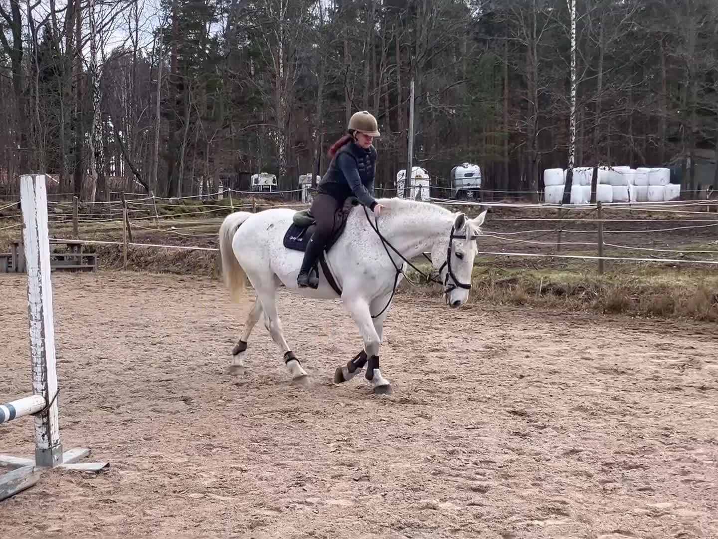 Allround hästar till salu: Cool Allroundhäst - Video 1