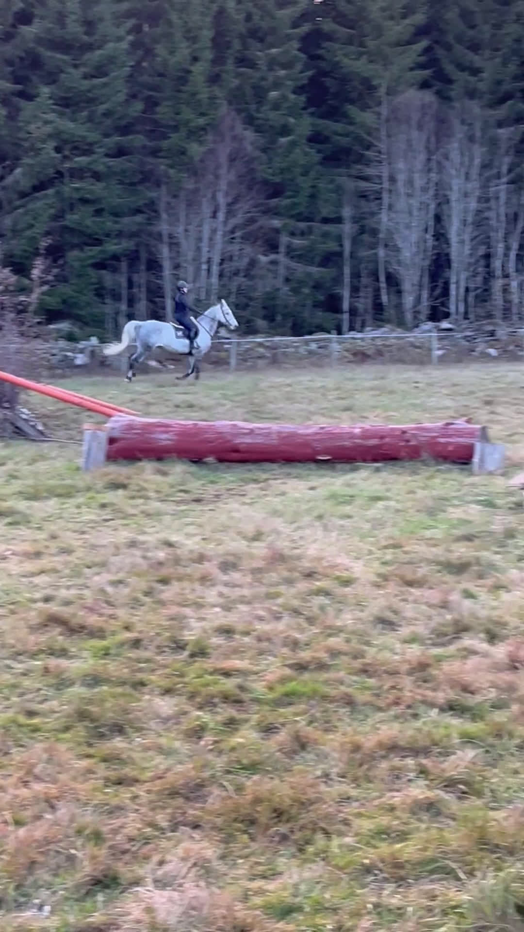 Fälttävlan hästar till salu: Fantastiskt SWB-sto för hopp/fälttävlan i Vetlanda - Video 4