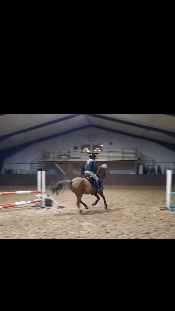 Allround hästar till salu: Snäll o go ponny vill ha en bästa vän.  - Video 5