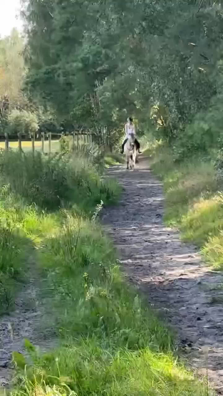 Allround hästar till salu: Underbar hobby/skogsmulle ⭐️ i Annelöv - Video 3