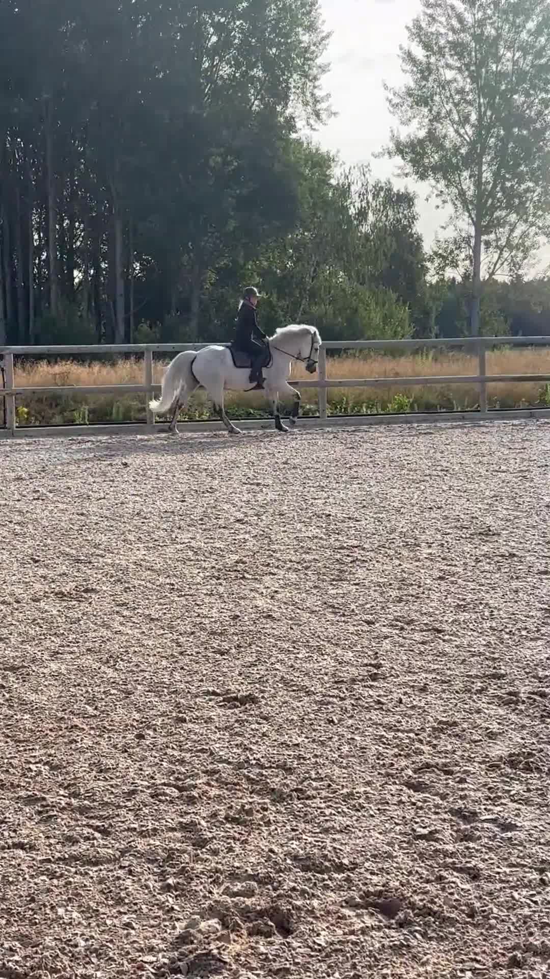 Allround hästar till salu: Härlig hopponny  i Nyköping - Video 2