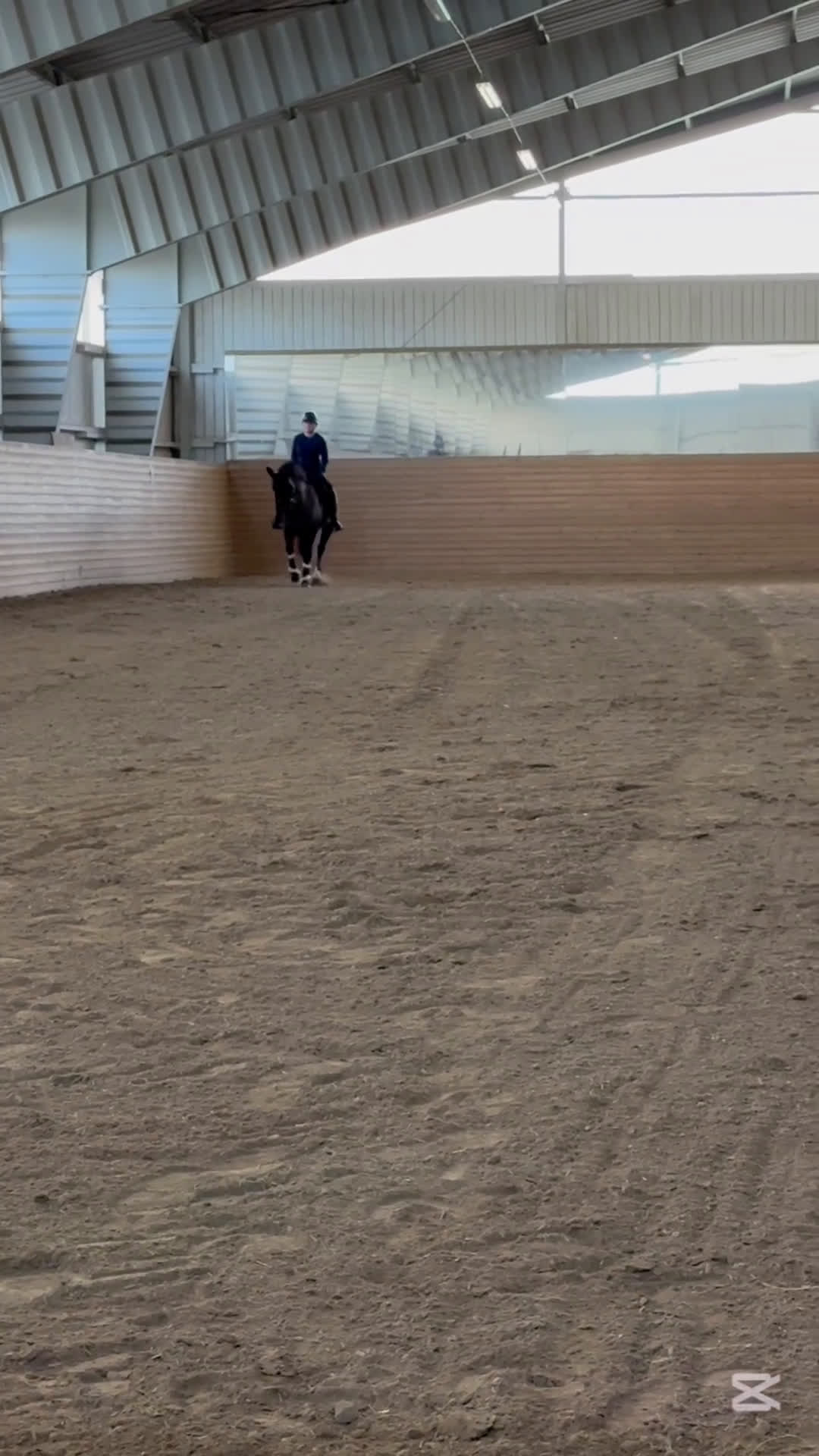 Allround hästar till salu: Världens snällaste ponny säljes💕 i Sköllersta - Video 4