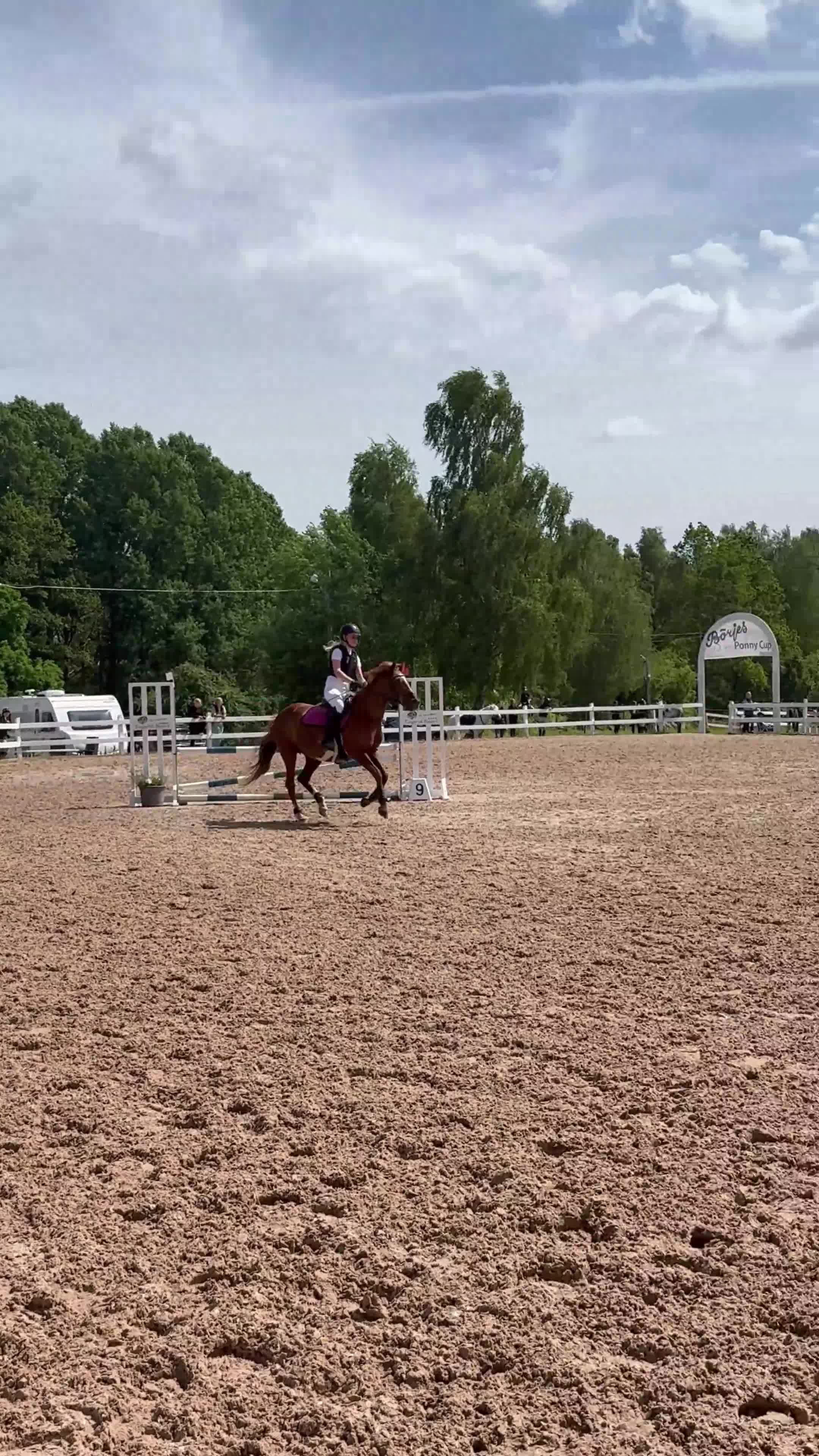 Allround hästar till salu: ⭐️Snäll C-ponny Allround⭐️ - Video 2