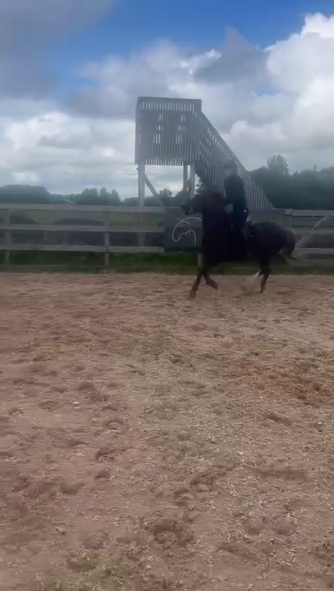  medryttarhäst finnes: C Ponny utanför Helsingborg söker medryttare i Rydebäck - Video 4