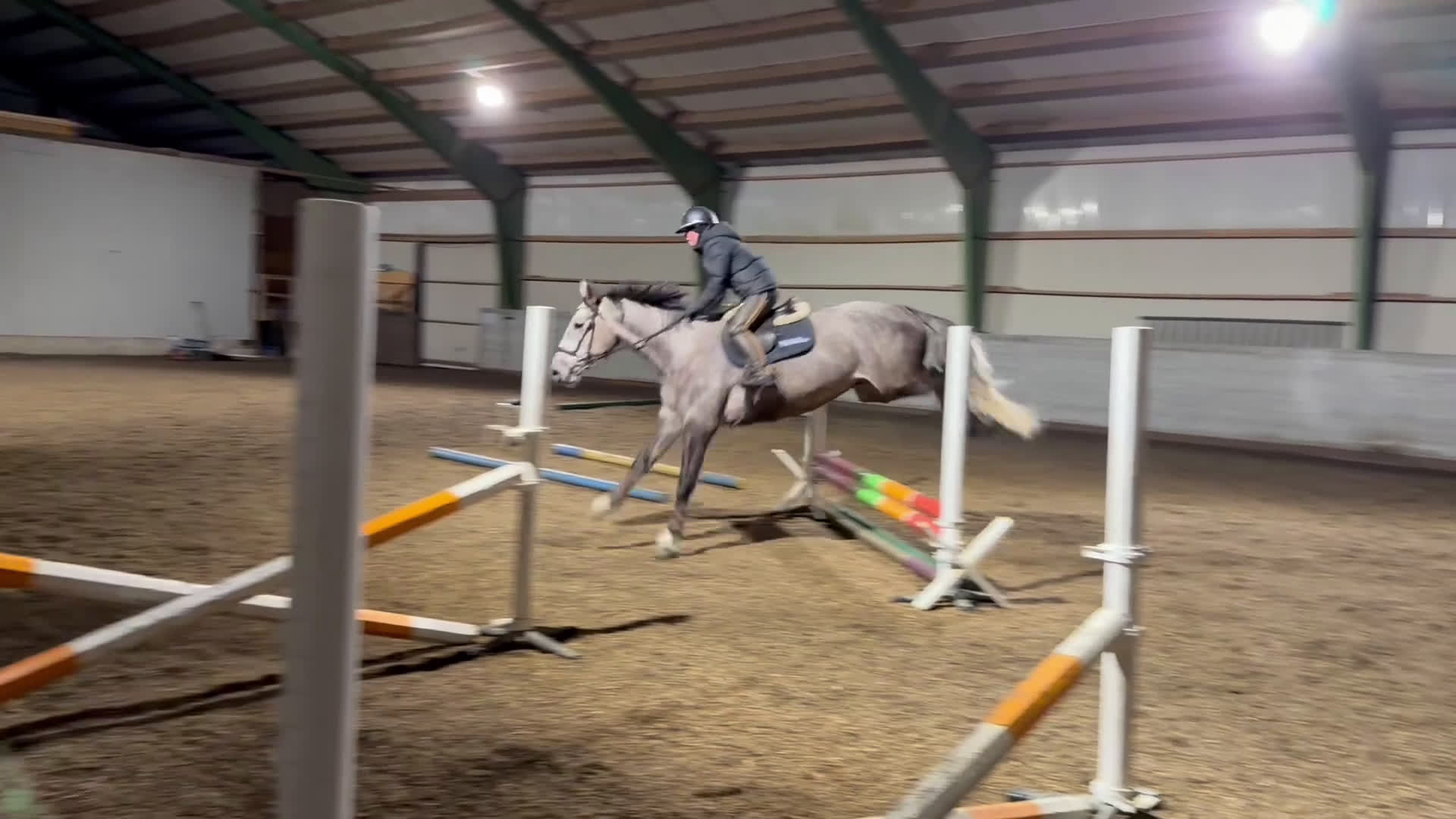 Allround hästar till salu: Trevlig valack i Hindås - Video 1