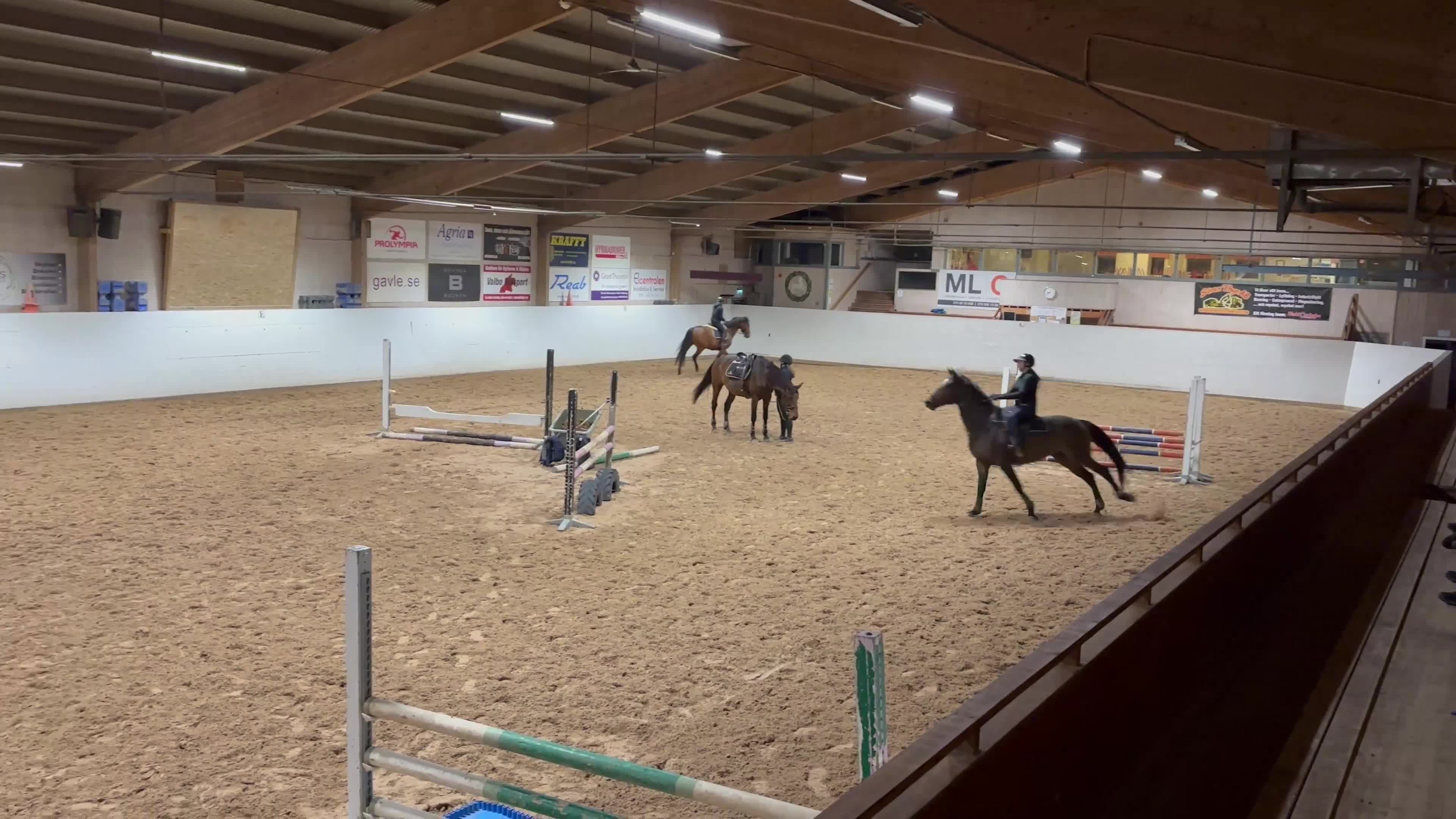 Allround hästar till salu: Tävlings/träningskompis eller lyxigare hobbyhäst - Video 4