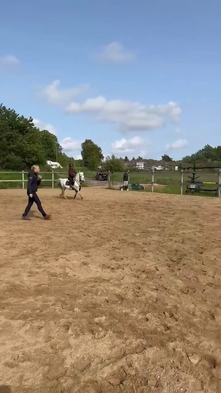 Allround hästar till salu: Hopponny - Video 1