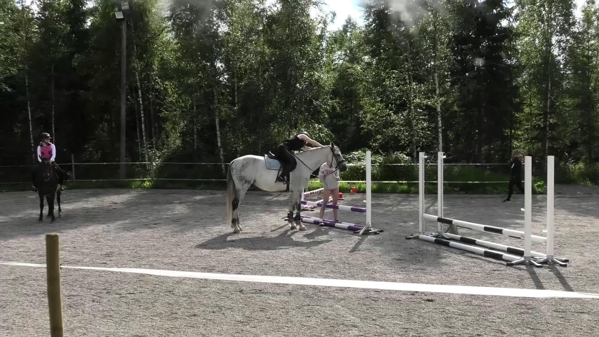  foderhäst finnes: stor B ponny i Åmål - Video 3