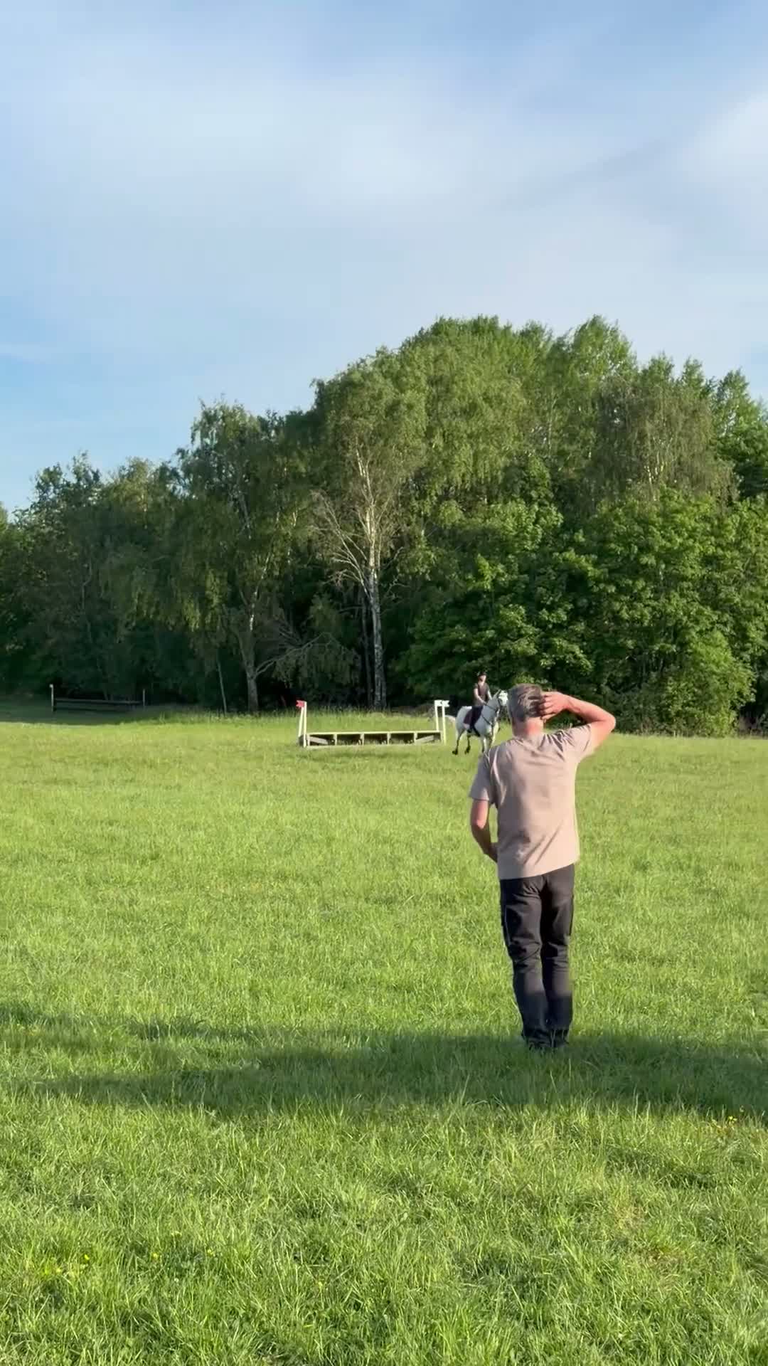 Hoppning hästar till salu: Ponny med största hjärtat säljes - Video 4