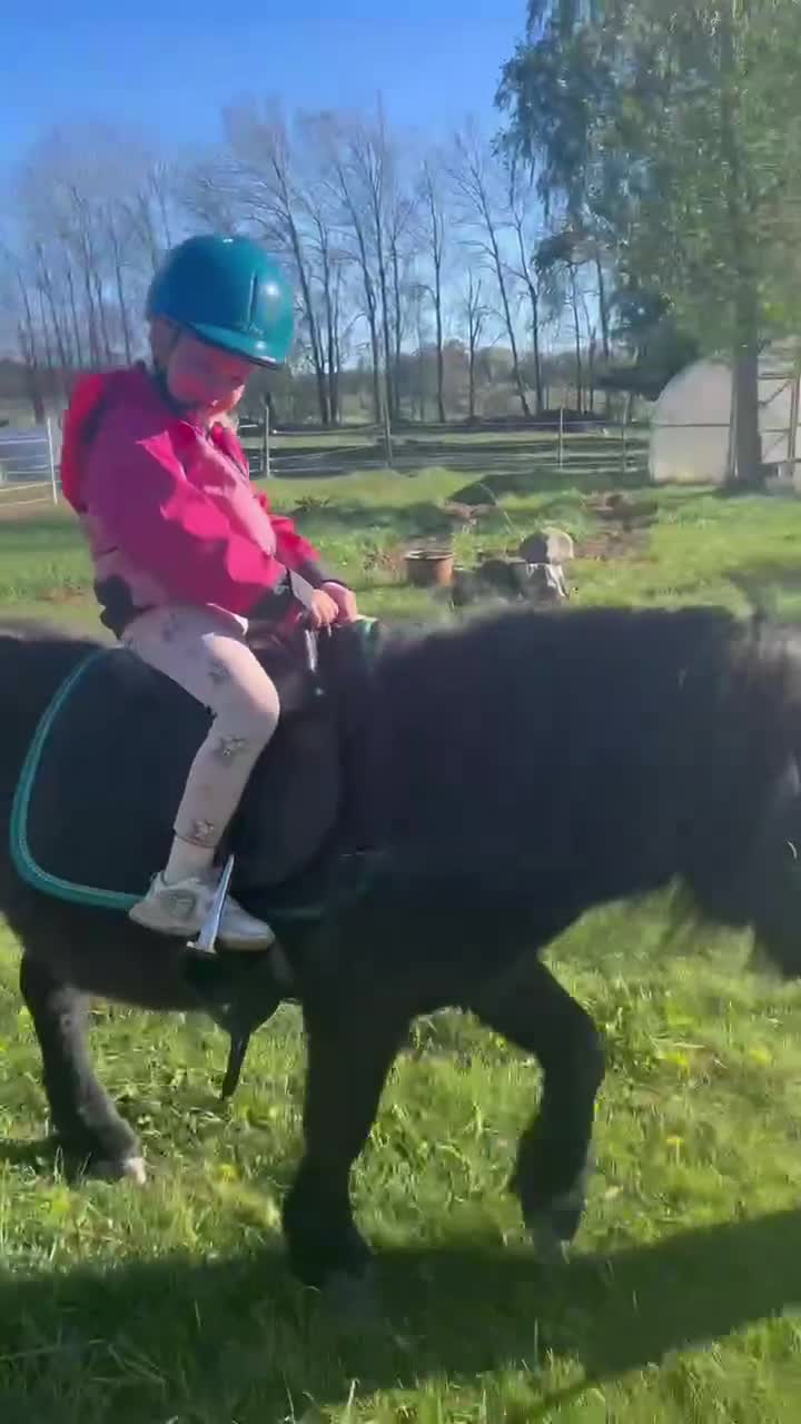 Allround hästar till salu: Supersnäll barnponny  - Video 1