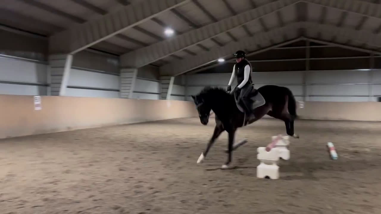  foderhäst sökes: Söker en hoppglad kompis!  i Kil - Video 1