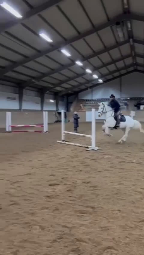 Allround hästar till salu: Ponny med hjärta av guld - Video 4