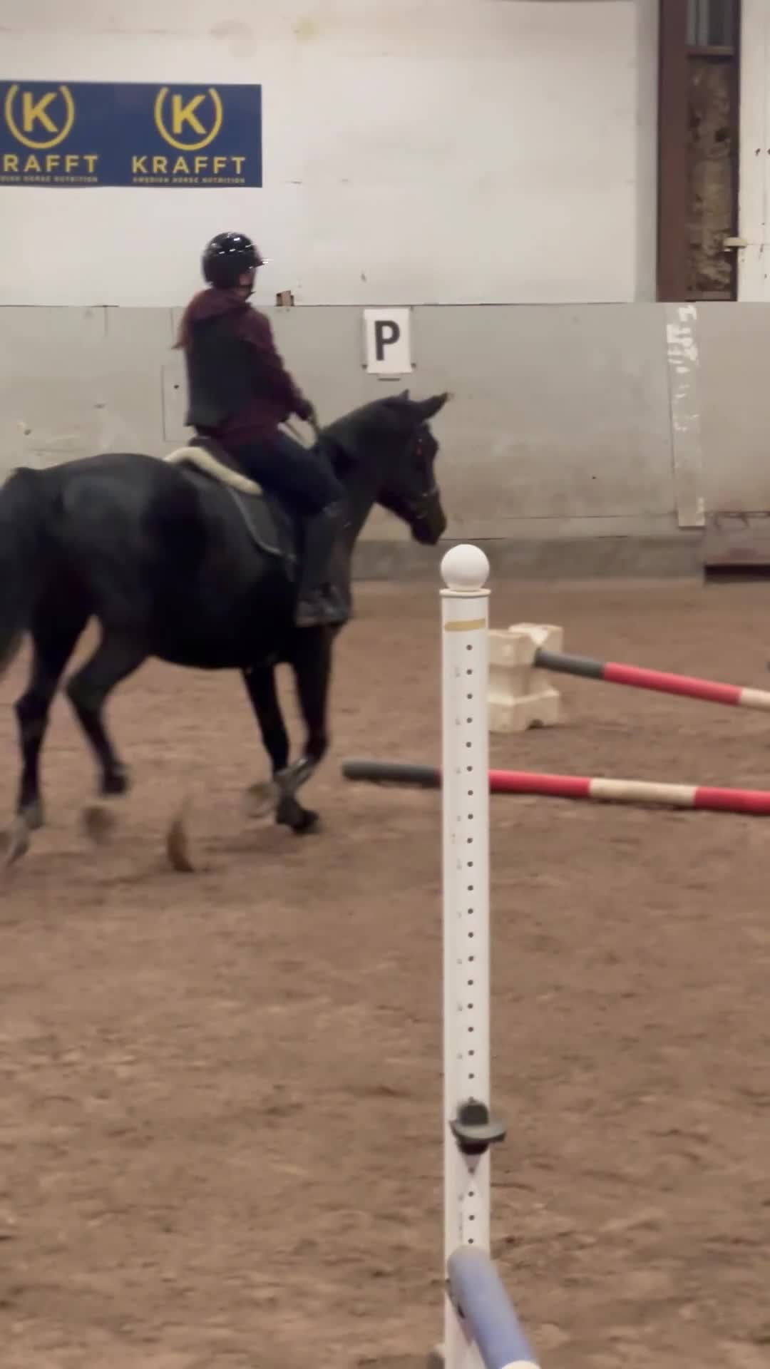 medryttarhäst sökes: Söker medryttarhäst  i Västervik - Video 4