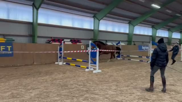 Hoppning hästar till salu: Inhoppad treåring med kapacitet - Video 2