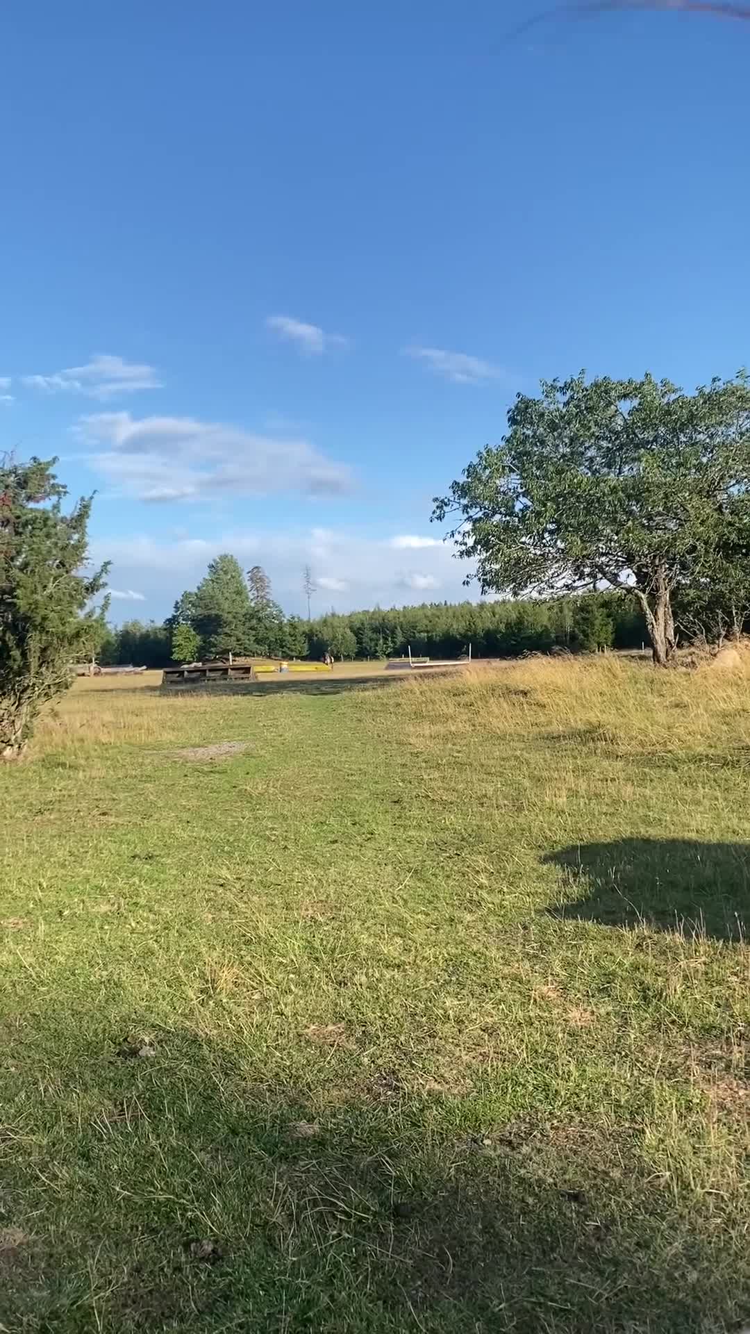 Allround hästar till salu: Charmigaste stjärnan🌟 i Norsholm - Video 2
