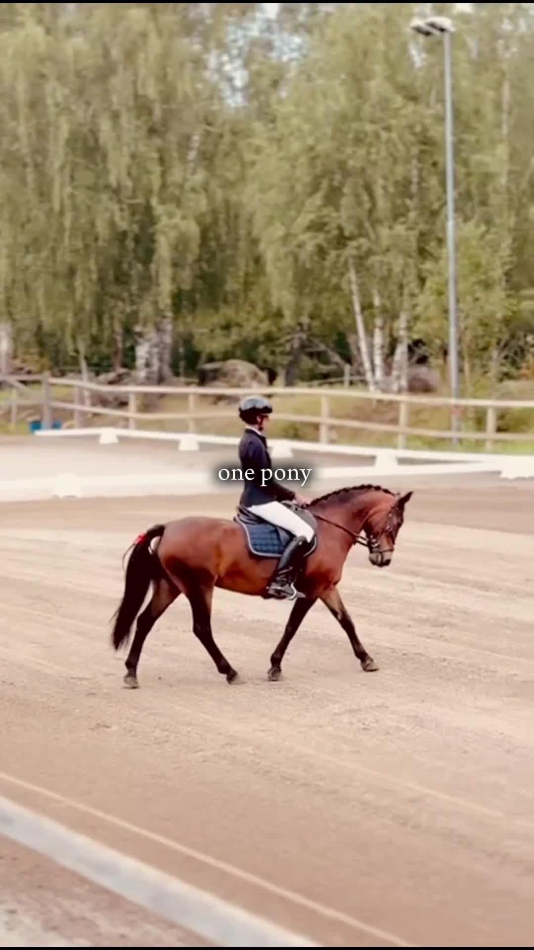  foderhäst finnes: Ponny söker fodervärd! i Björnlunda - Video 1