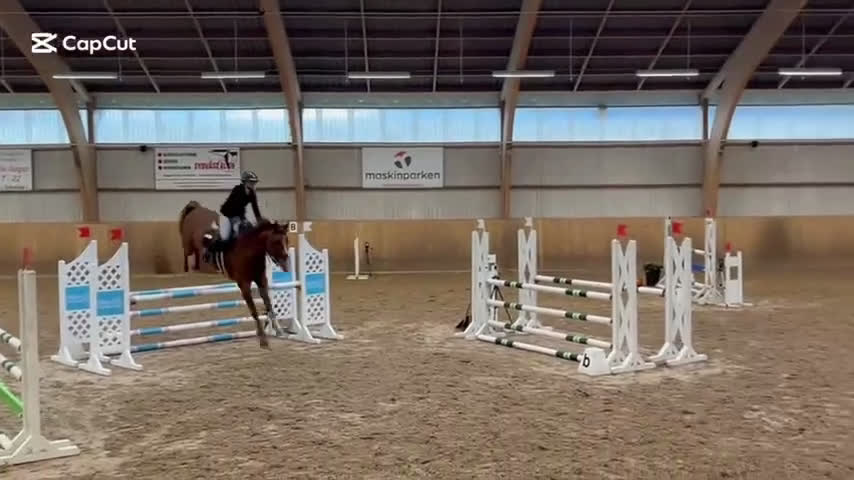 Hoppning hästar till salu: Trevligt sto med mycket potential! i Vellinge - Video 1