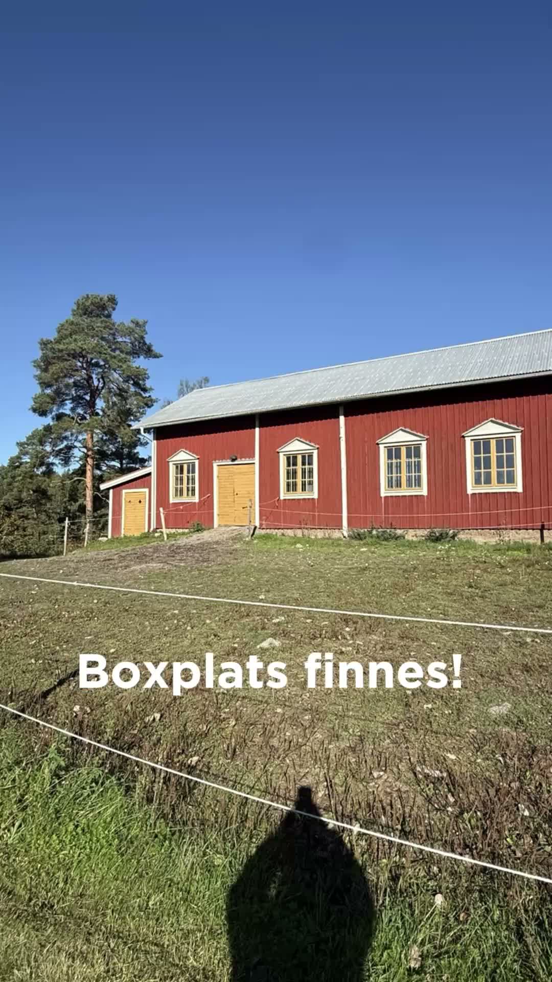  stallplats finnes: 🐴 LEDIG BOXPLATS I LITET PRIVATSTALL – MÖLNBO i Mölnbo - Video 1