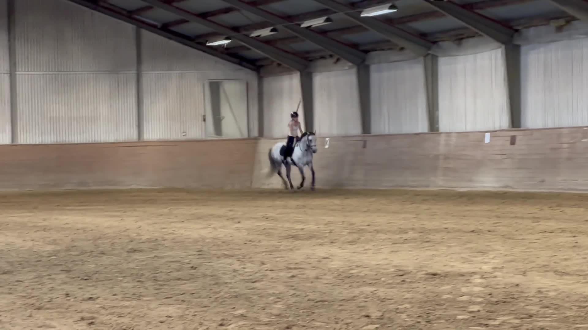 Hoppning hästar till salu: ❤️ Charlie – en ponny mycket kapacitet❤️ - Video 2
