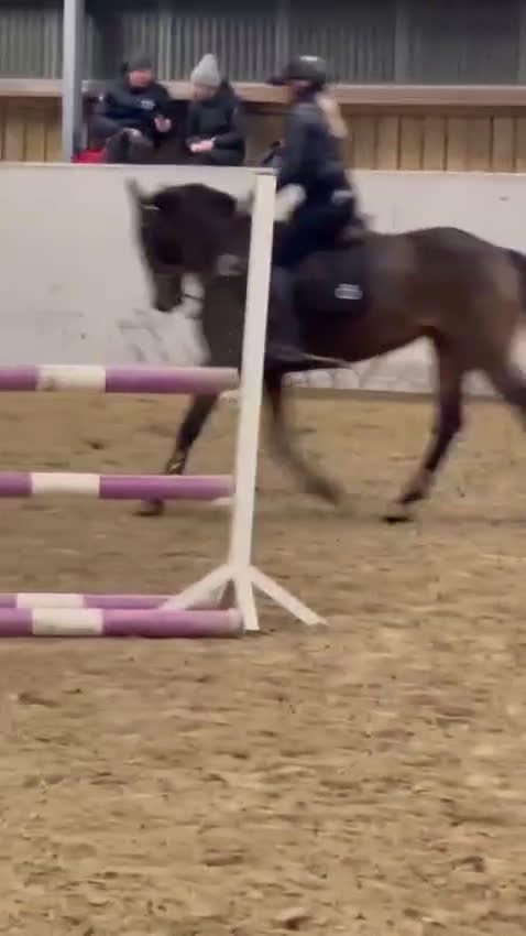 Hoppning hästar till salu: En prinsessa! (NEDSATT PRIS från 140,000:- )) i Strömsholm - Video 1