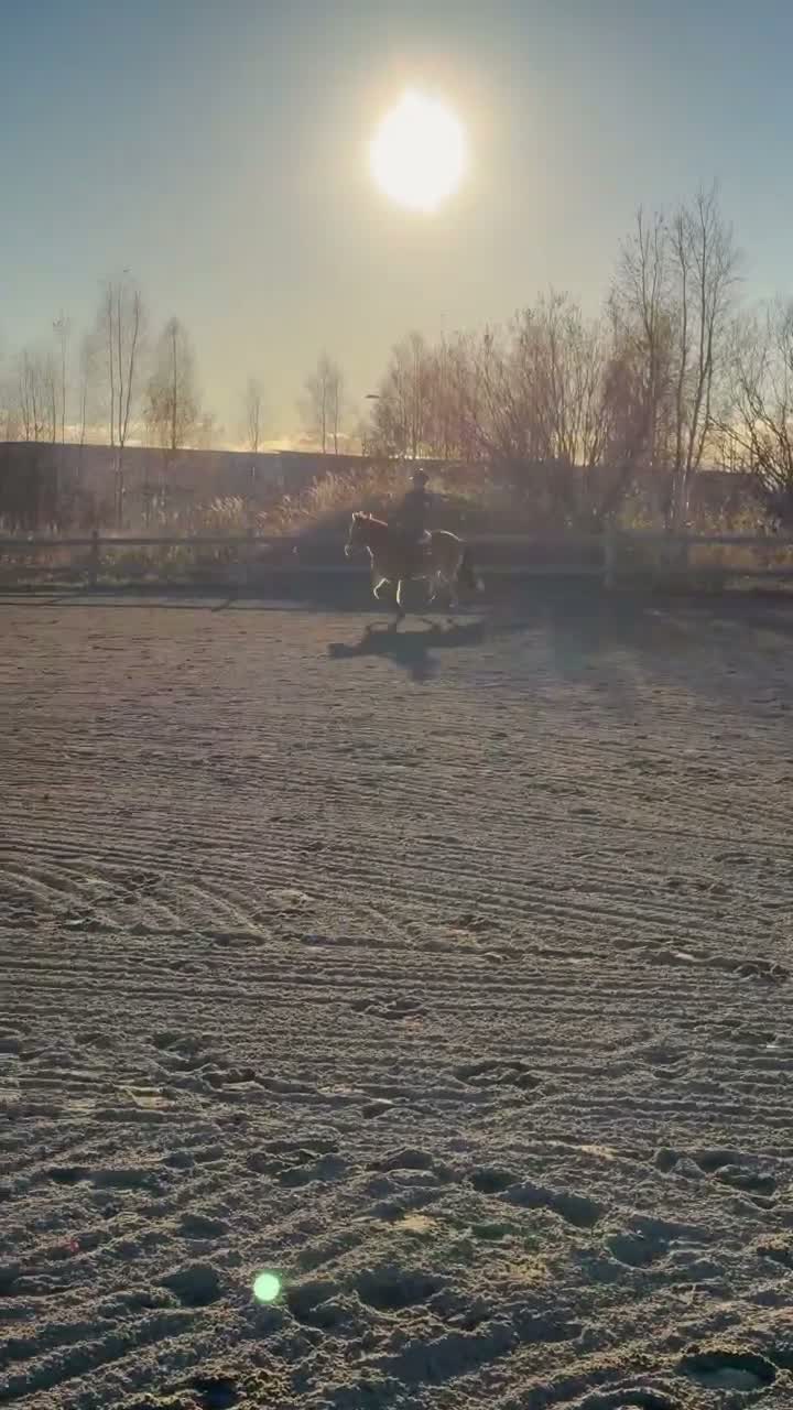 Allround hästar till salu: En bästa kompis🎀 - Video 5