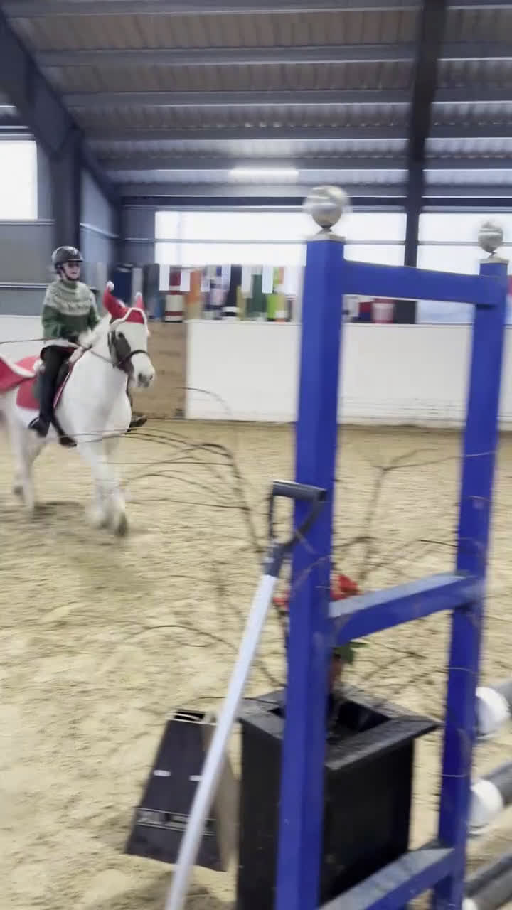 Allround hästar till salu: Snäll, liten D-ponny söker hem - Video 1