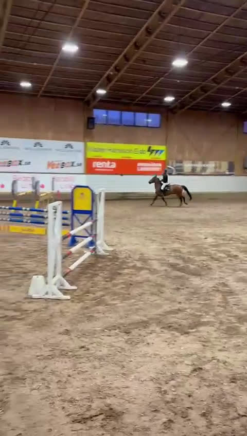 Hoppning hästar till salu: Maxad C-ponny född 2013 för de högsta klasserna. i Stora Höga - Video 1