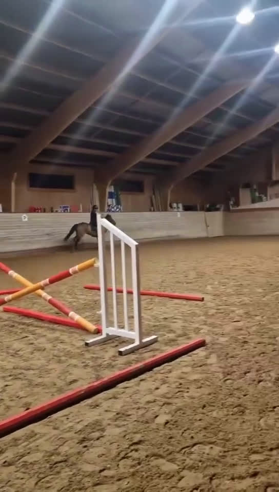 Hoppning hästar till salu: Het hopponny i Åkers Styckebruk - Video 1