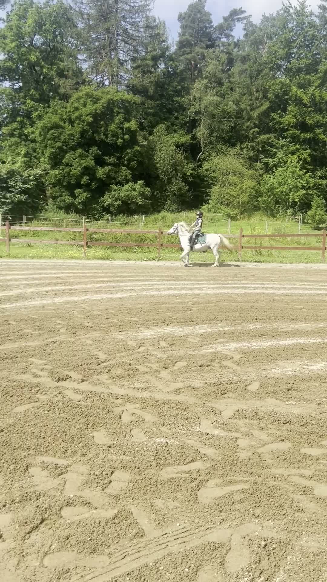 Allround hästar till salu: Sockersöt ponny! - Video 2