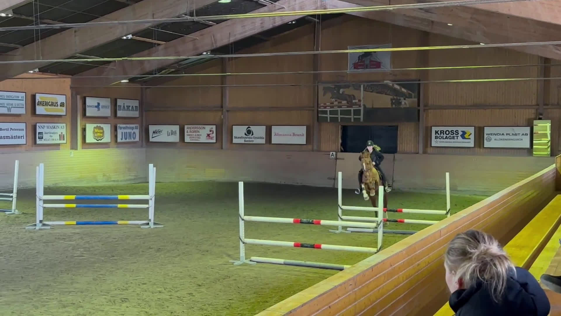 Allround hästar till salu: BLACK FRIDAY! Sto med stor personlighet nu 80 000  i Matfors - Video 1