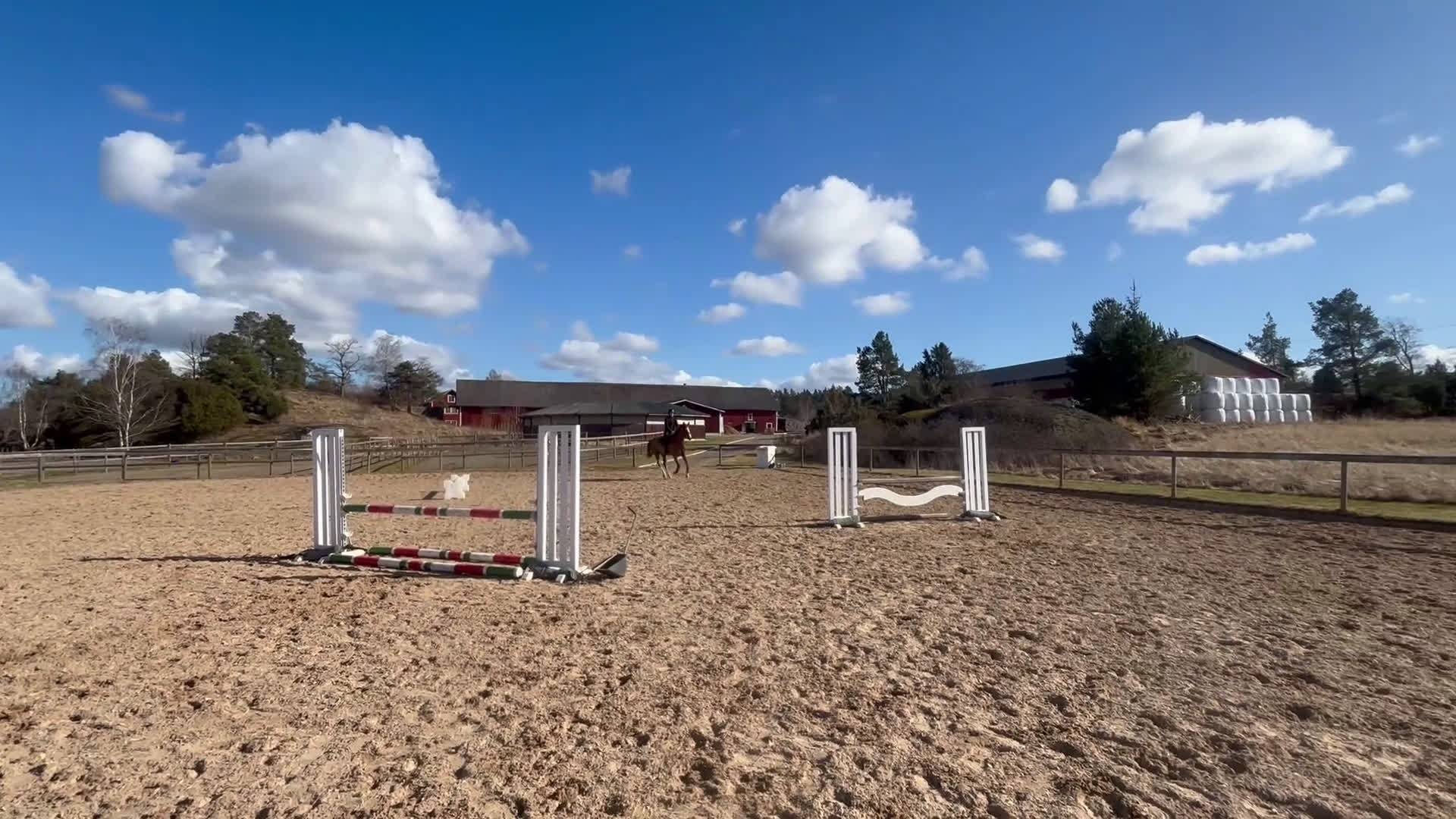 Hoppning hästar till salu: Lovande 5:årigt SWB sto för framtiden  - Video 1