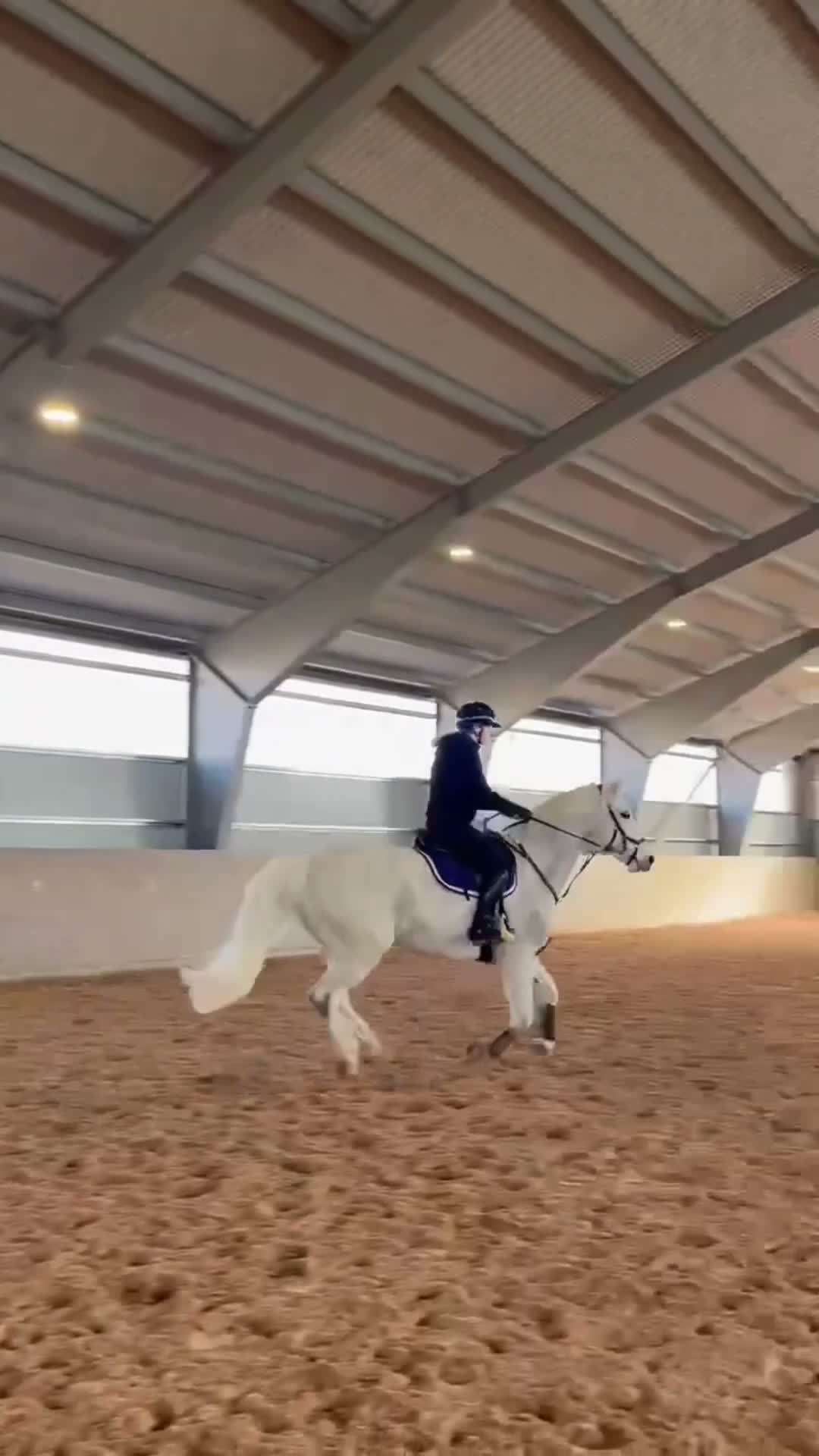 Allround hästar till salu: Maxad D-ponny e: I Love You Melody i Norrköping - Video 3