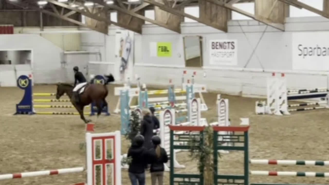 Hoppning hästar till salu: Hopphäst  i Kungsbacka - Video 1