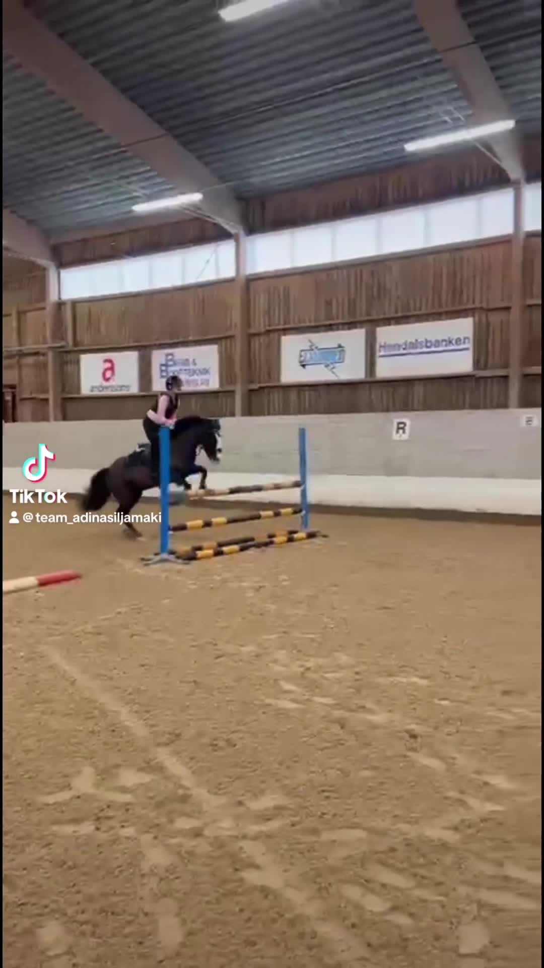 Hoppning hästar till salu: ROSETTPLOCKARE 🏆🥇 i Fagersta - Video 2