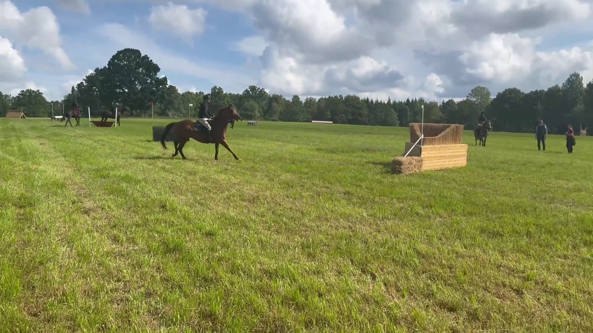 Allround hästar till salu: Fantastisk allroundhäst av lättare typ i Växjö - Video 1