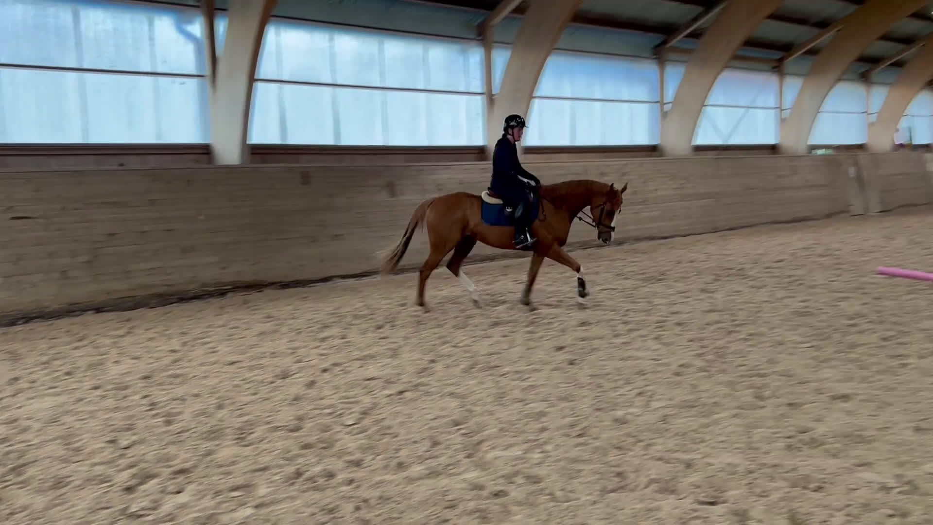 Allround hästar till salu: 5årig valack - ämne för fälttävlan? i Bottnaryd - Video 3