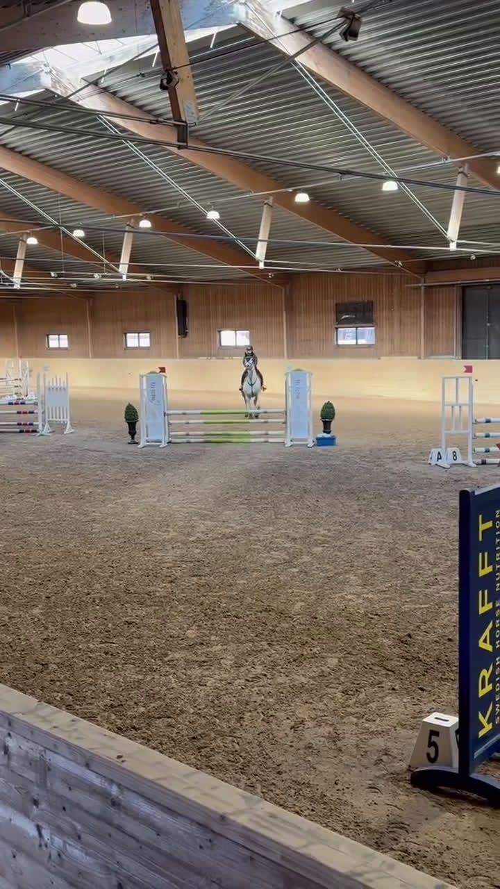 Allround hästar till salu: Byte/säljes - Video 1