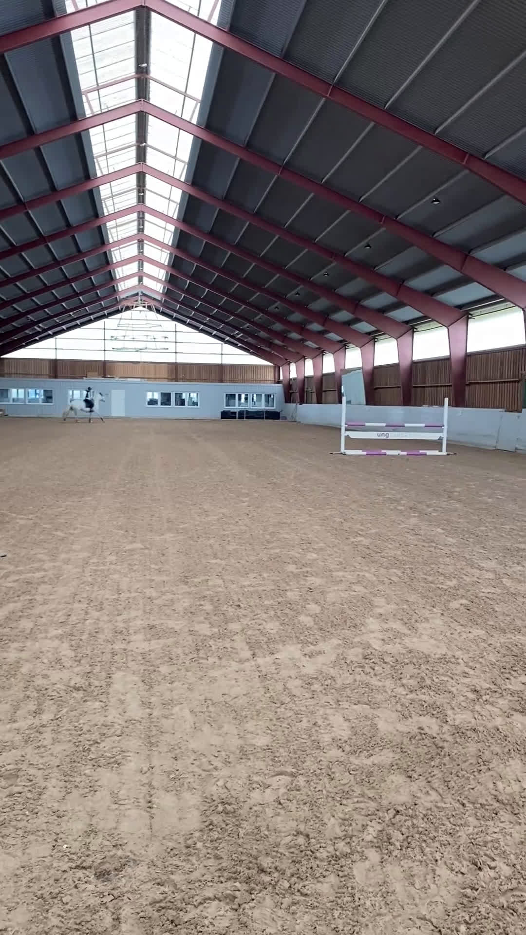 Hoppning hästar till salu: Läromästare  - Video 2